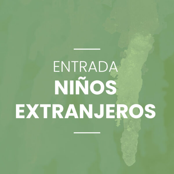 Niños Extranjeros (4-12)