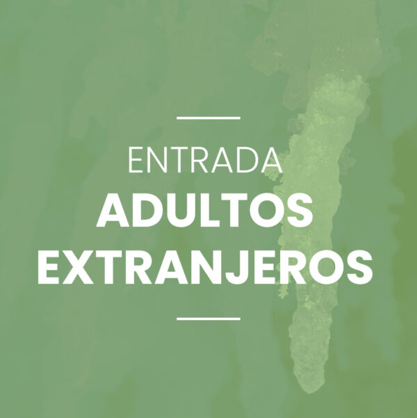 Adultos Extranjeros (13-59)